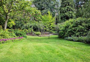 Optimiser l'expérience du jardin à Waldighofen