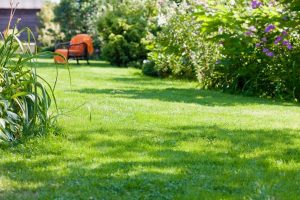 travaux jardin et paysage Waldighofen